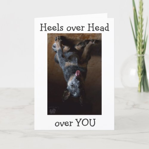 CATTLE DOG IS UPSIDE DOWN AND IN LOVE WITH YOU HOLIDAY CARD