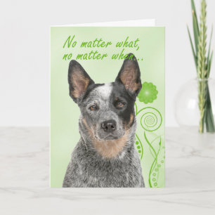 Cattle Dog Love and Support Card