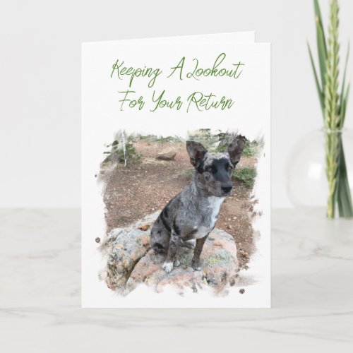 Cattle Dog Photo Placeholder Missing You Template
