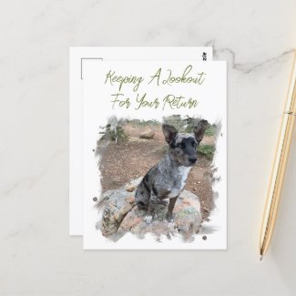Cattle Dog Photo Placeholder Missing You Template