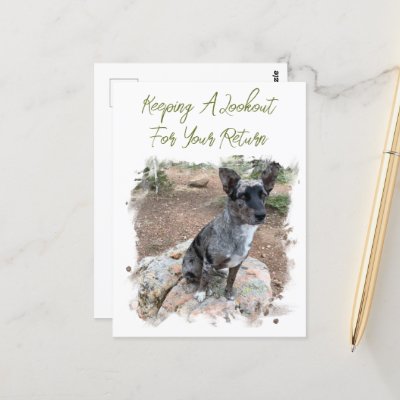 Cattle Dog Photo Placeholder Missing You Template
