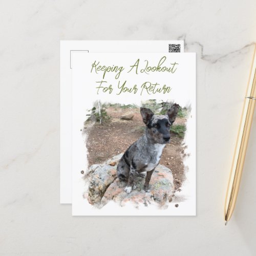 Cattle Dog Photo Placeholder Missing You Template Postcard
