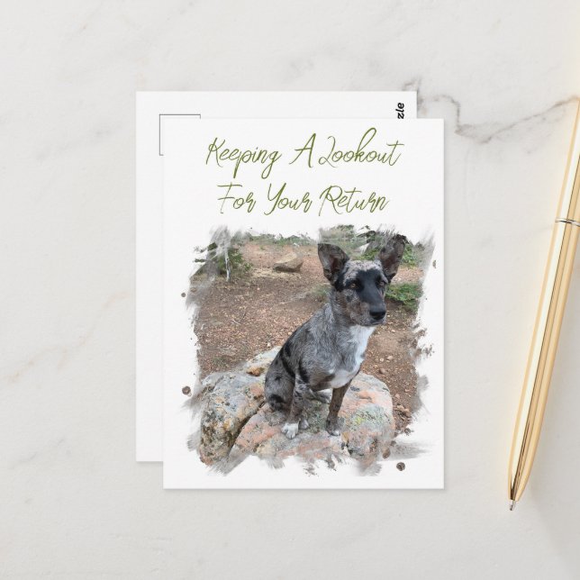 Cattle Dog Photo Placeholder Missing You Template Postcard (Front/Back In Situ)