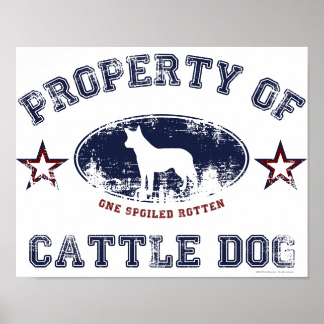 Cattle Dog Poster (Front)