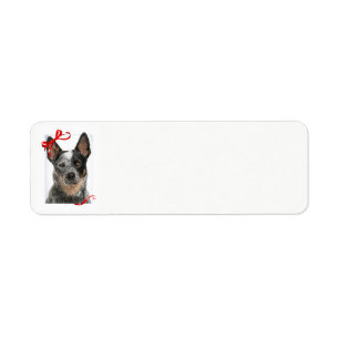 Cattle Dog Return Address Labels