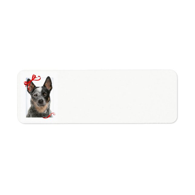 Cattle Dog Return Address Labels (Front)