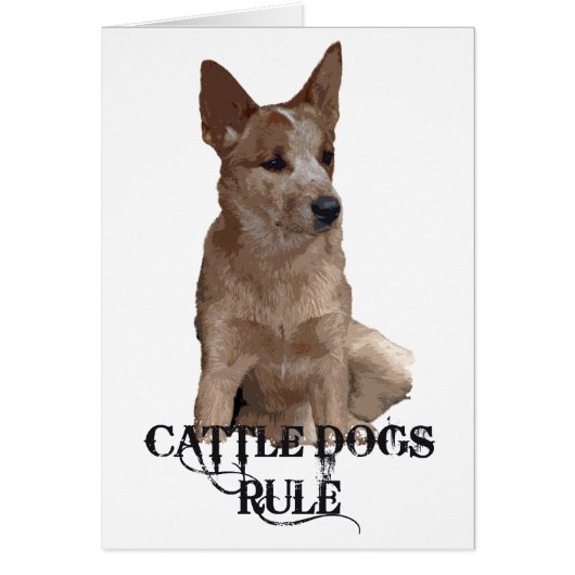 Cattle Dogs Rule Cards (Front)
