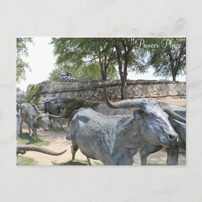 Cattle Drive # 10 Postcard (Front)