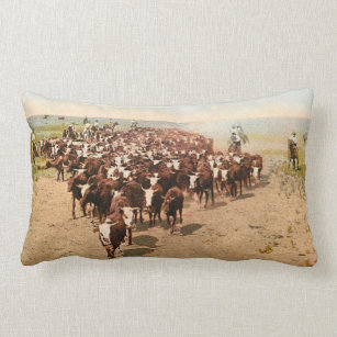 cow print lumbar pillow