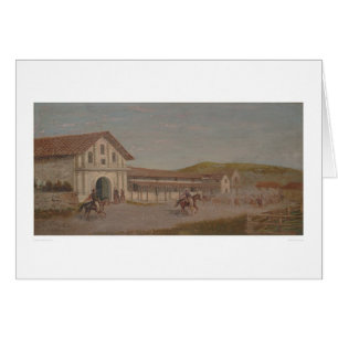 Cattle drove at Mission Dolores, Calif. (1243) Cards
