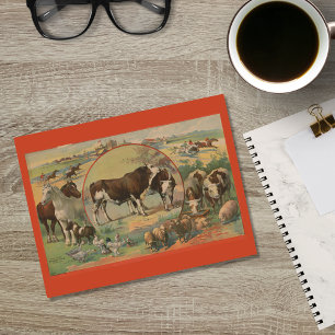 Cattle Farm Animals Race Track Ephemera Postcard