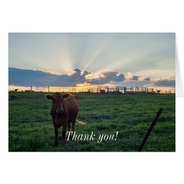 Cattle Farm Sunset Cards (Front Horizontal)
