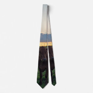 Cattle Farm Sunset Neck Tie