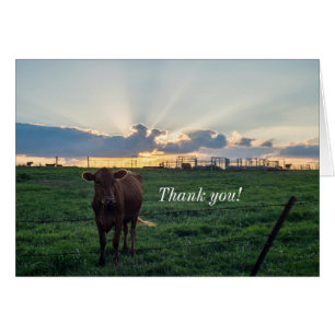 Cattle Farm Sunset Thank You Card