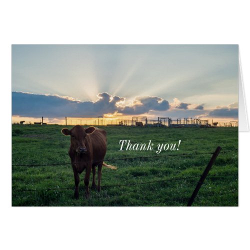 Cattle Farm Sunset Thank You Card