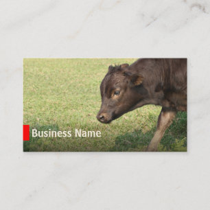 Cattle Farming Beef Ranch Business Cards