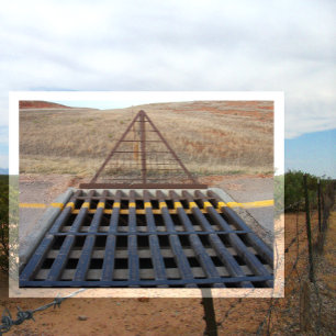 Cattle Grate Across Gravel Road. Wyoming, Western Postcard