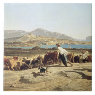 Cattle herding near Marseilles, 1853 (oil on canva Ceramic Tile