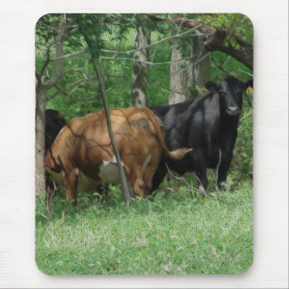Cattle in a Pasture Mouse Pad