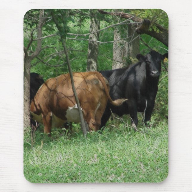 Cattle in a Pasture Mouse Pad (Front)