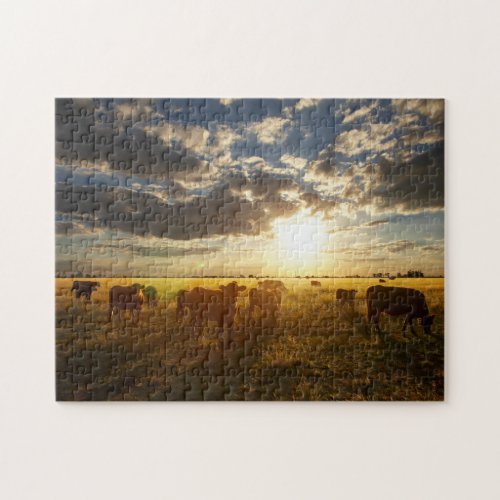 Cattle In Field Sunset Jigsaw Puzzle