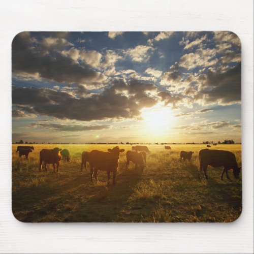Cattle In Field Sunset Mouse Pad