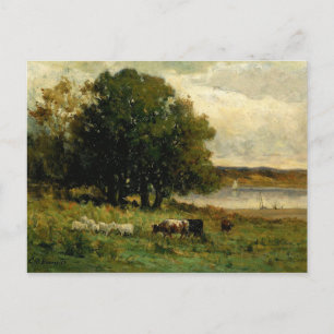 Cattle Near River - Edward Mitchell Bannister  Postcard