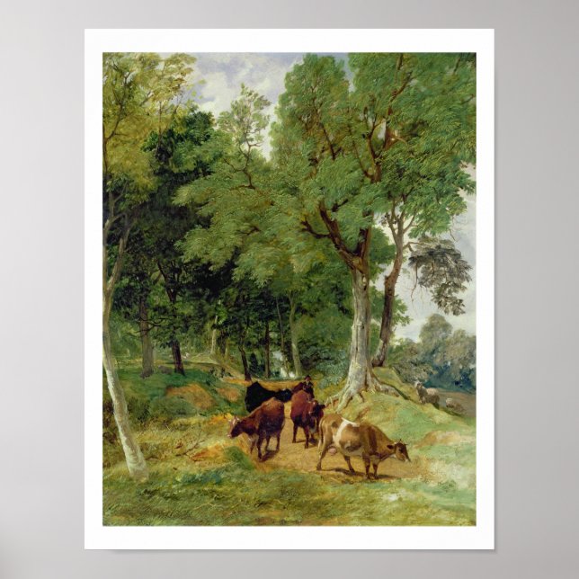 Cattle on a Devonshire Lane Poster (Front)