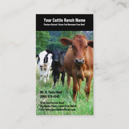 Customizable Cattle on Pasture Business Cards