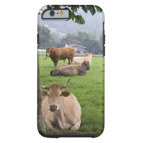 Cattle on rural farmland near the town of tough iPhone 6 case