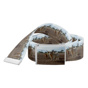 Cattle on the Loose: Highland Cows Wheat Heist Belt