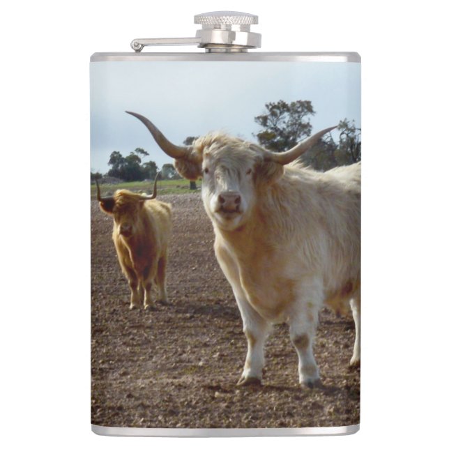 Cattle on the Loose: Highland Cows Wheat Heist Flask (Front)