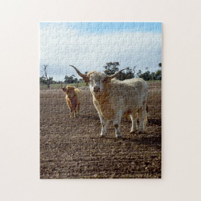 Cattle on the Loose: Highland Cows Wheat Heist Jigsaw Puzzle (Vertical)