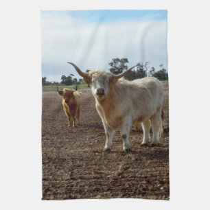 Cattle on the Loose: Highland Cows Wheat Heist Kitchen Towel