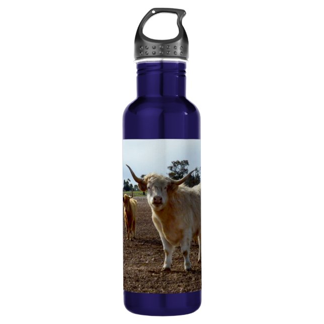 Cattle on the Loose: Highland Cows Wheat Heist Stainless Steel Water Bottle (Front)