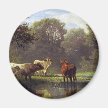 Cattle on the Pond