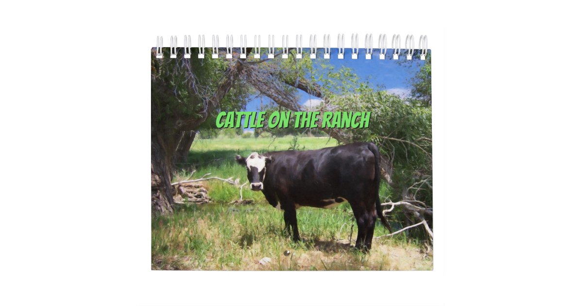 Cattle On The Ranch Calendar Zazzle