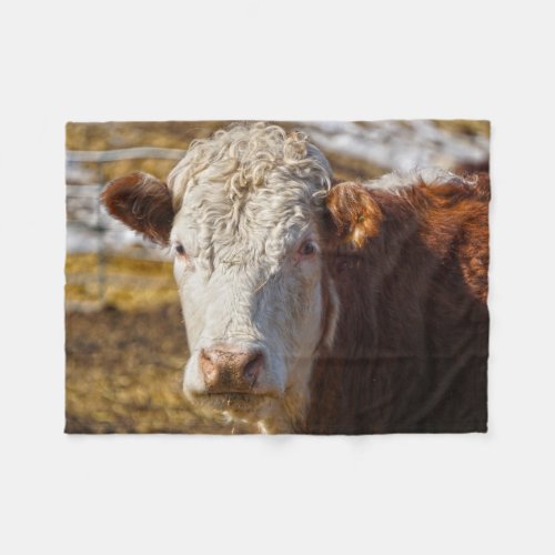 Cattle Ranch Bovine Design Fleece Blanket
