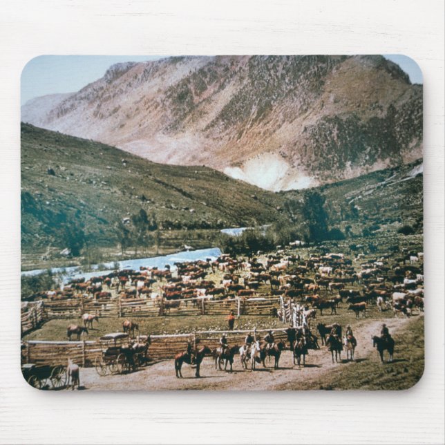 Cattle Ranch, Colorado, 1899 (photo) Mouse Pad (Front)