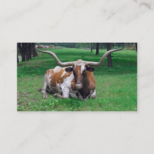 Customizable Cattle Rancher Farmer  Business Card