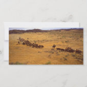 Cattle roundup (Front)