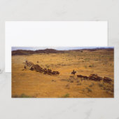 Cattle roundup (Front/Back)