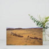 Cattle roundup (Standing Front)