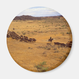 Cattle roundup magnet