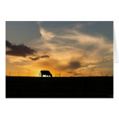 Cattle Sunset Silhouette (Front Horizontal)
