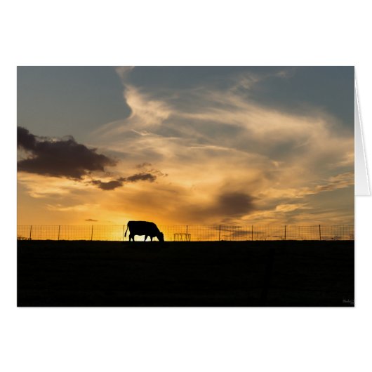 Cattle Sunset Silhouette Cards (Front Horizontal)