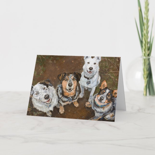 Cattledogs Smiling Cattle Dogs and Heelers Card (Front)