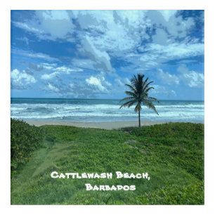 Cattlewash Beach, Barbados Acrylic Print
