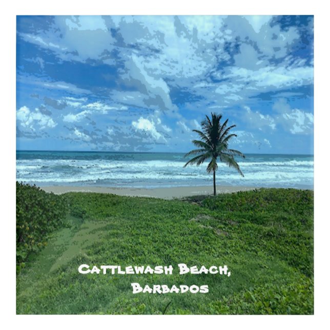 Cattlewash Beach, Barbados Acrylic Print (Front)
