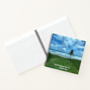 Cattlewash Beach, Barbados Notebook